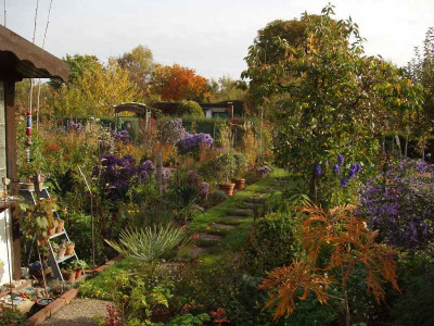 garten20081018_w.jpg
