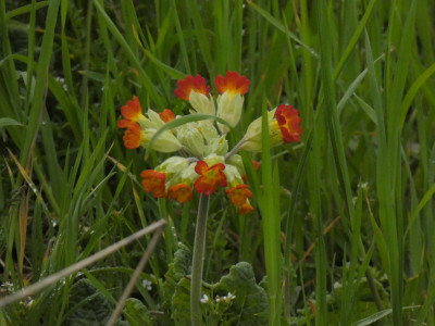 P1020413.JPG