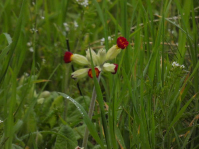 P1020414.JPG
