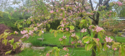 20250415_141707.jpg