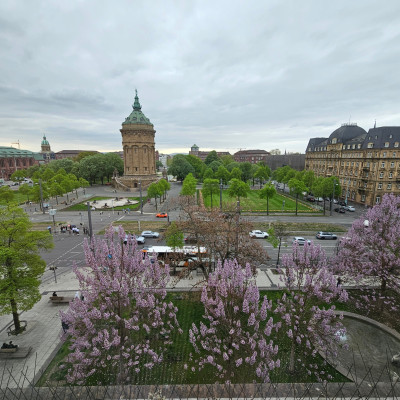 2025-04-15 Mannheim O 7 16 Dr. Bosch 20250415_140651.jpg