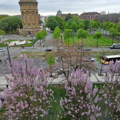 2025-04-15 Mannheim O 7 16 Dr. Bosch 20250415_140718.jpg