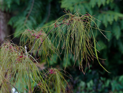 DSC02226_DxO.jpg