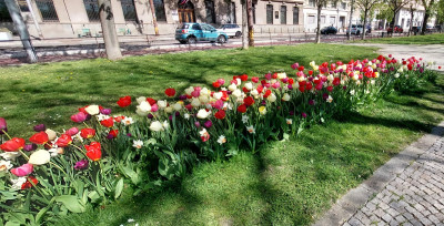 Bunt