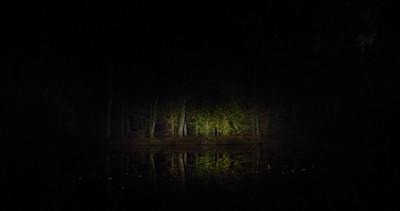 waldsee.JPG