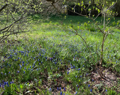 IMG_7538.jpeg