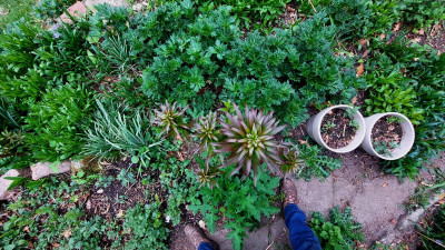 20250417_191146.jpg