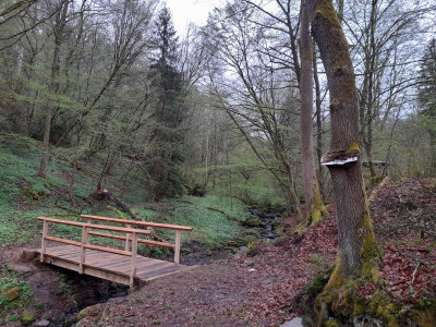 20250418_080044.jpg