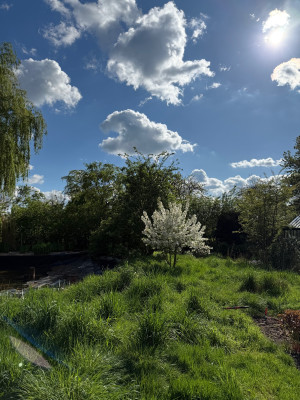 IMG_8063.jpeg