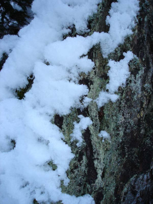 schneerinde.jpg