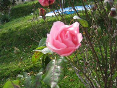 IMG_1685_kl.jpg