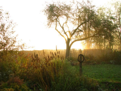 sonnenaufgang3.jpg
