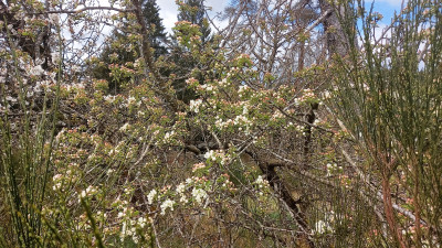 IMG_OC_20250419_142230_DRO.jpg