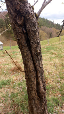 IMG_OC_20250419_134455_NR.jpg