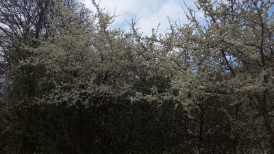 IMG_OC_20250419_132722.jpg
