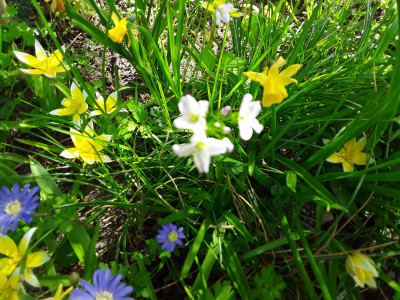 Buntes Allerlei