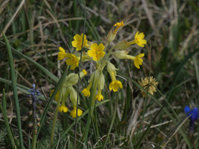 P1020567.JPG