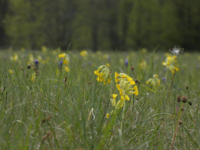 P1020633.JPG