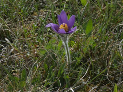 P1020557.JPG