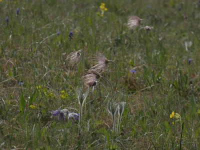 P1020558.JPG