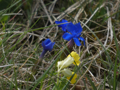 P1020582.JPG