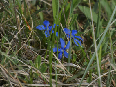 P1020560.JPG