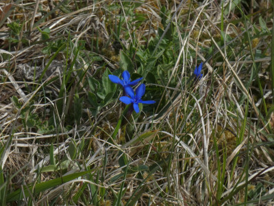 P1020602.JPG