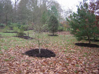 77composting.jpg