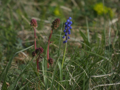 P1020529.JPG