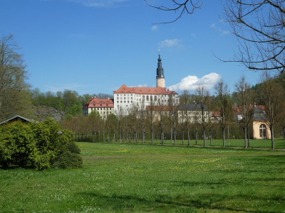 WeesensteinPark - 1.jpeg