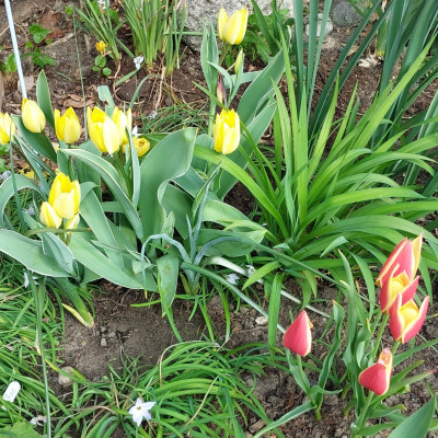 20250421_090737.jpg