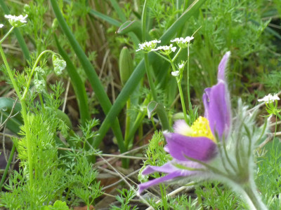 P1030231.JPG