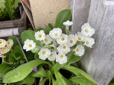 IMG_0317.jpeg