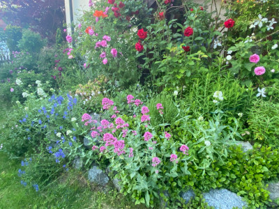 IMG_6195.jpeg