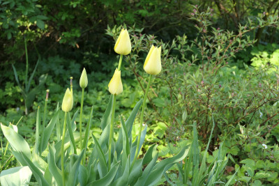 P1011644.JPG