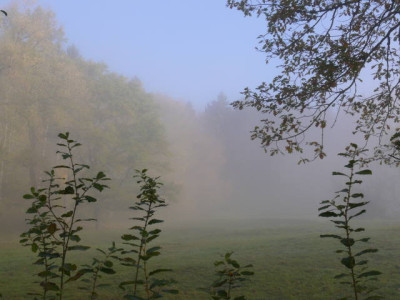P1160063.jpg
