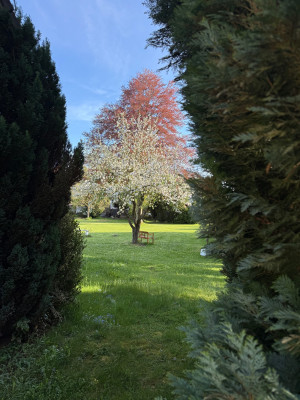 IMG_7729.jpeg