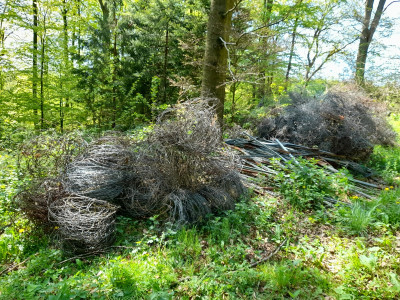 20250429_123356.jpg