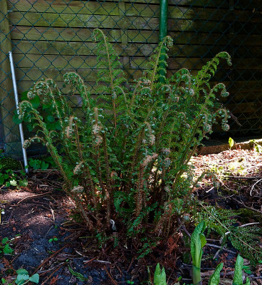 DSC02230_DxO.jpg