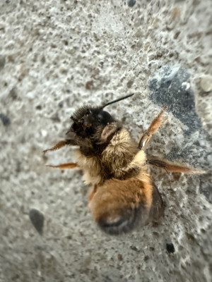 IMG_8091.jpeg