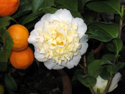 2008.03-017.jpg