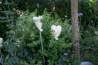 Fuchsie_winterhart0307a.jpg