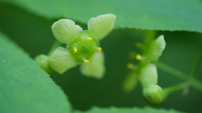 20250501_181044.jpg