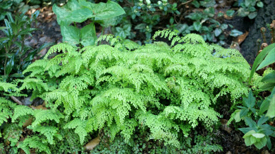20250502_124437.jpg