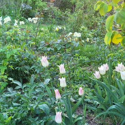 20250501_201221.jpg