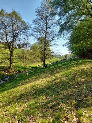 20250502_113602.jpg