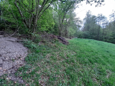 20250502_174853.jpg