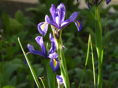 DSCN8697.JPG