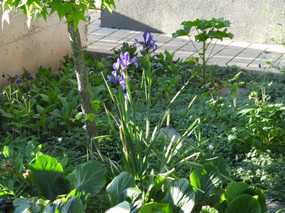 DSCN8698.JPG