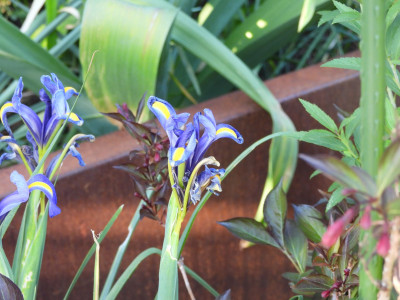 DSCN8699.JPG